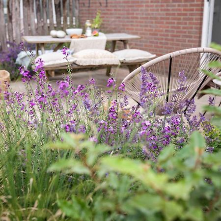 Vakantiehuisje Bloem 4 Personen Stolpen Exterior foto